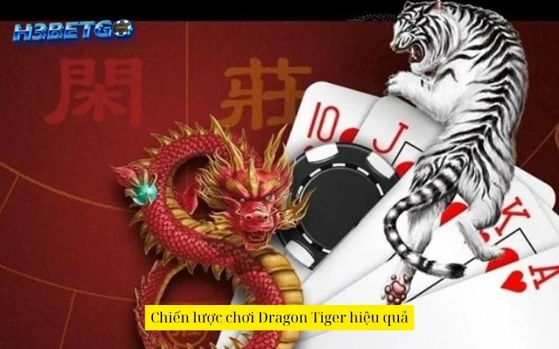 Chiến lược chơi Dragon Tiger hiệu quả