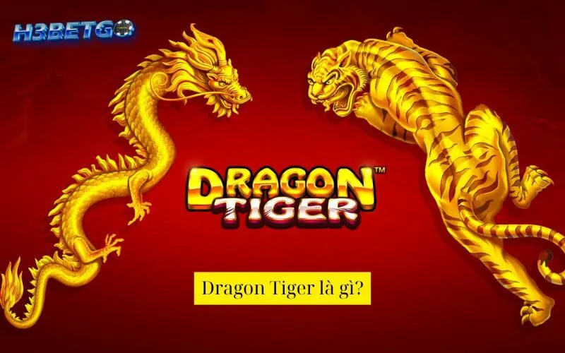 Dragon Tiger là gì?