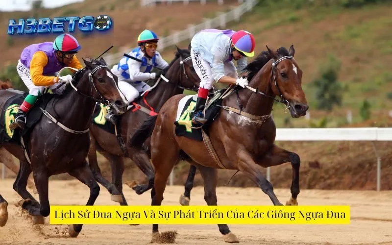 Lịch Sử Đua Ngựa Và Sự Phát Triển Của Các Giống Ngựa Đua